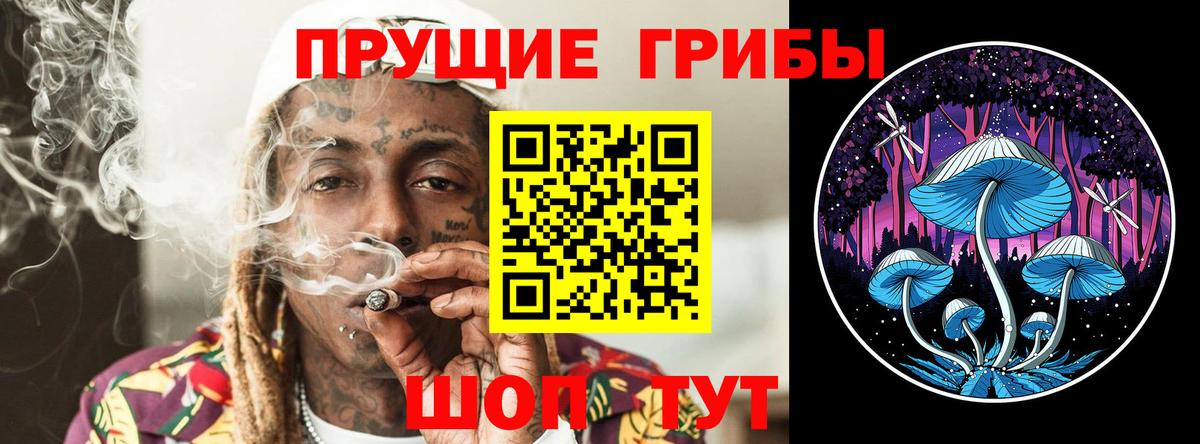 Армавир  Псилоцибиновые грибы MAGIC MUSHROOMS  Вход с VPN  Галлюциногенные грибы мицелий 