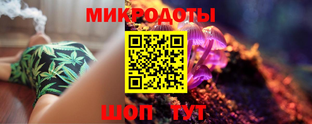 Псилоцибиновые грибы Cubensis Армавир